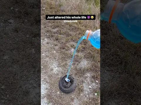 I Put This Snake On To Gatorade 🔥
