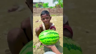 গরিব রাজু পেলো তরমুজ |Raju Video 2025 | NLF Sohel Entertainment | Part 32