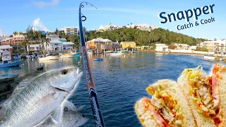 Lucky Day for Catching Snappers/Grey Dogs! | Bermuda Summer 2021 | Fish Sandwich Catch & Cook