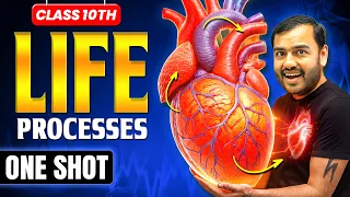 Life Processes class 10 science biology || Complete CHAPTER IN ONE SHOT || NCERT Covered ||