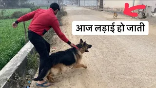 Jack ko Off-leash Ghumana पड़ा भारी|