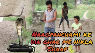Nag panchmi ke Din Ghar Me naag nikala.🐍@MurliwaleHausla #snake #cobra #murliwalehaushla