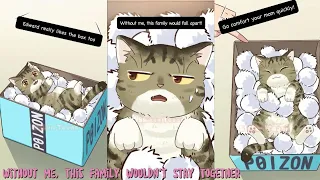 Without Me, This Family Wouldn't Stay Together #cat #shorts #animation