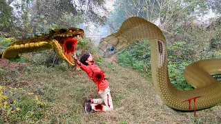 Anaconda Snake in Real Life Video 3 2024 #anacondasnake
