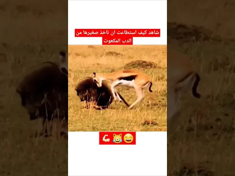 من يتوقع ان الغزال تملك كل هاذة الحماية#shorts