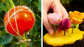 CORTAR A TAJOS es un truco de jardinería que todo amante de las plantas debería conocer.