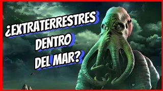 🐙 EL PULPO I 👽 Un Alien Habitando Los Mares De La Tierra 🐙