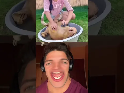 Jaimito reacciona a videos #6