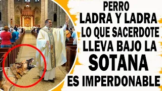 En Plena Misa P3RR0 Ladra Y Ladra Al Sacerdote. Lo Que Él Escondía Bajo Su SOTANA Impactó A Todos