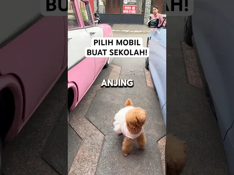 PILIH MOBIL BUAT SEKOLAH!