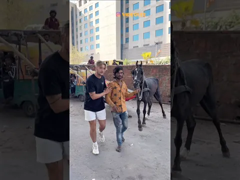 We SAVED His Horse! 🐴 🥹❤️ #house