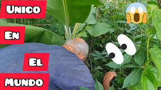 🤯 ¿¿#MILLONARIO en CUBA?? No CREERAN lo que TIENE en su PATIO #cuba #youtubercuba