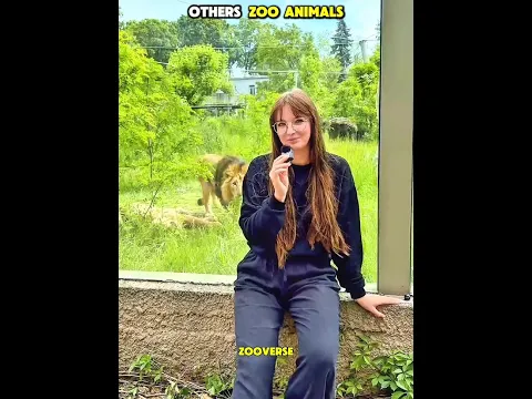 Zooverse At The Zoo Moment ❤️😲 | Headlights (feat. KIDDO) – Slowed #zoo #animals #shorts