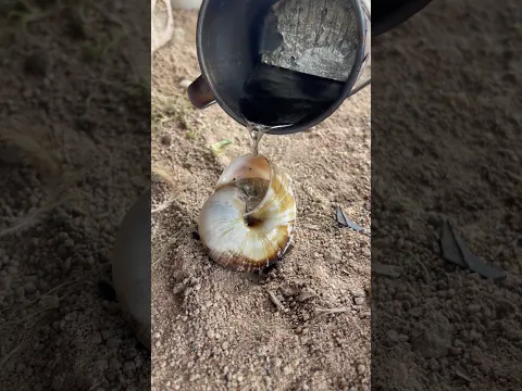 Good work great skills