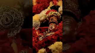 😱🦚 முருகனின் சிலையை வீட்டில் வைத்தால் என்ன ஆகும் தெரியுமா? #muruganthunai #shorts #omsaravanabhava
