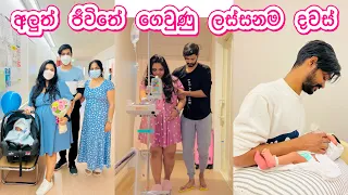 අලුත් ජීවිතේ ගෙවුණු මුල්ම සතිය | එයත් එක්ක ගෙවුණු ලස්සන දවස් |  Welcome baby Ryouskeh 💙