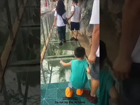 glass bridge पर बच्चे कैसा फील करते है 🤔 #ytshorts