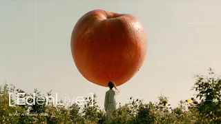EdenLive: Open-Source Real-Time Generative Rendering from Any Visual Reference | VAST AI Research