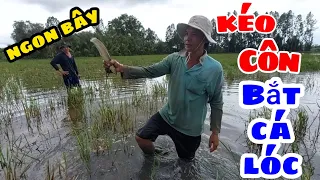 Nguyễn Văn Nhựt || Kéo Côn Bắt Cá Lóc Mùa Nước Lũ