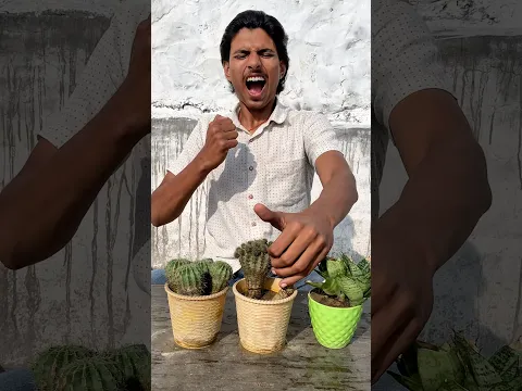 CACTUS 🌵 SPIKE ATTACK 😱|PLAYBLAST #playblast #viral #shorts