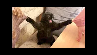 watch 1 minute, laugh all day #2
