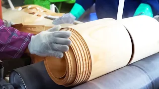 Manufacture of disposable spoons and forks made of wood and bamboo sticks