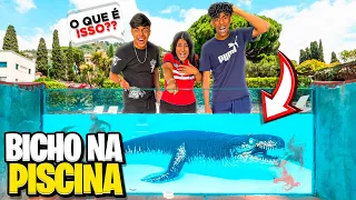 UM BICHO ASSUSTADOR NA PISCINA DA CASA ANTIGA! NÃO PODEMOS MAIS NADAR!