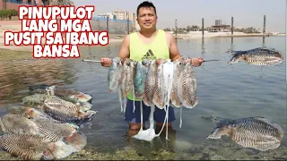 EPS-251 PINUPULOT LANG NAMIN ANG PUSIT SA PROBINSIYA  NG KUWAIT HULI SA SALAPANG