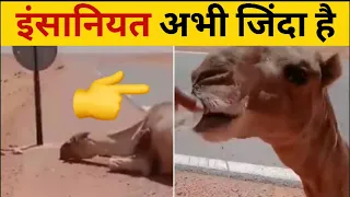 इंसानियत अभी जिंदा है 🙏| Humanity is still alive | Inspirational #shorts