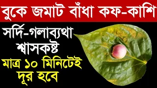 খাওয়ার ১০ মিনিটের মধ্যে বুকে জমানো কফ-কাশি-গলাব্যথা-শ্বাসকষ্ট দূর হবে | Home Remedy for Cough & Cold