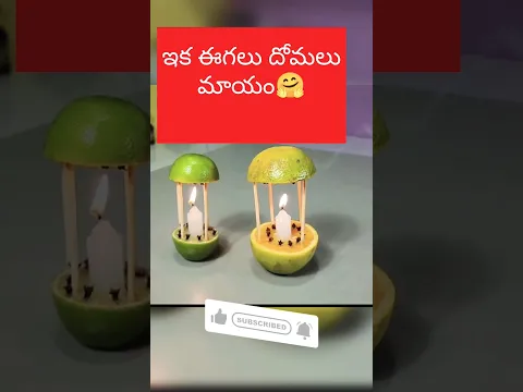ఈగలు దోమలు ఇక మాయం 🤗 Egalu Domalu ika mayam | No tention of Flies and Mosquitoes Now #kitchentips