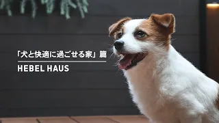 HEBEL HAUS｜ペットが幸せ、というしあわせ。