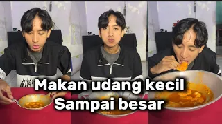 MAKAN DARI UDANG TERKECIL SAMPAI TERBESAR DAPAT DUIT