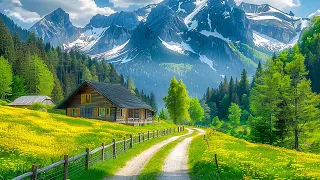Serene Piano Melodies for Studying & Stress Relief | Calm Your Mind & Focus
