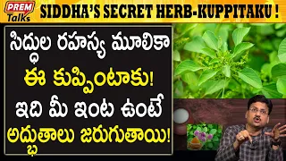 మన సిద్ధులు కనిపెట్టిన గొప్ప ఔషధం ఇది! These herbs are too powerful for you! | #premtalks
