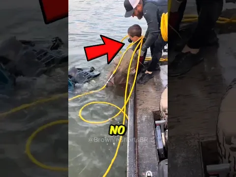 Nunca fique sozinho neste lago 😳