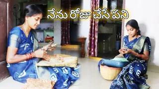 నేను రోజుచేసే పని || Nenu Rojuchese Pani || daily volg || Kittu adda