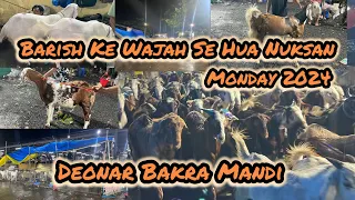 Deonar Bakra Mandi | Latest Update | Monday Today Live Update | Deonar Bakra Mandi 2024 | Deonar