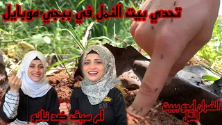 تحدي بيت النمل  🐜🐜 ) ام سيف ضد نانو مع تفجير بكاجات ببجي موبايل