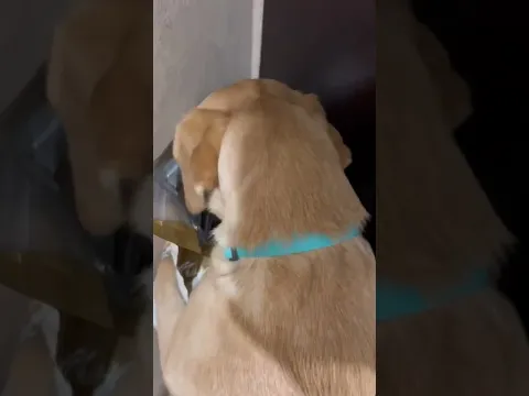 Это моё самое любимое видео😂 А у вас какое?