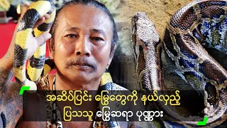 အဆိပ်ပြင်းမြွေတွေ နယ်လှည့် ပြသသူ မြွေဆရာ ပုဏ္ဏား