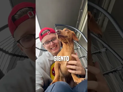 Esto me da mucho MIEDO 💔😭🐶