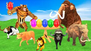 Who is The Fastest Cow, Elephant, Mammoth, Lion, Buffalo, Bull Vs Tiger Wolf Wild Animals Game