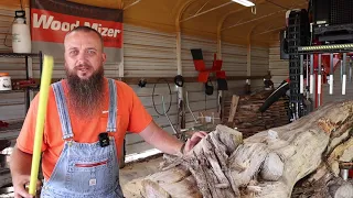 This Is Not What You Want To Find Inside A Log At The Sawmill,