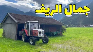 عجائب خلق الله في طبيعة النمسا