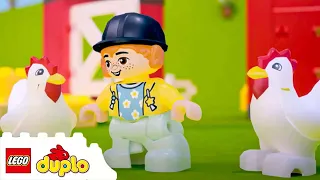 LEGO DUPLO - Animal Care | Learning For Toddlers | Nursery Rhymes | Cartoons and Kids Songs