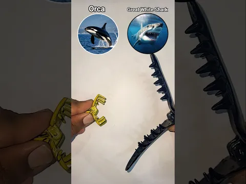 Orca vs Great white shark 😁😁😅😅🥹🥹🤪🤪😅🤣😂😇😇 #countryballs #shorts #countryballsedit