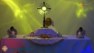 Señor sé que estás obrando - Padre Martín Ávalos - Hora Santa