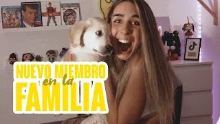 Os presento a Jordan | Nuevo Miembro de la Familia