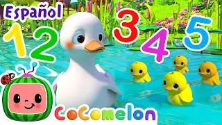 Cinco Patitos | Canciones Infantiles | Caricaturas para bebes | CoComelon en Español